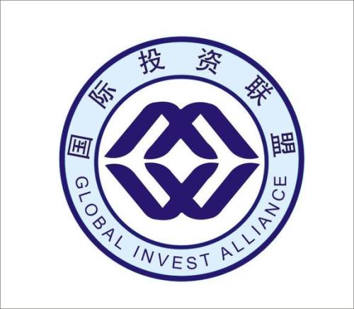 发展联盟是什么意思
