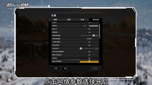 pubgping值怎么显示