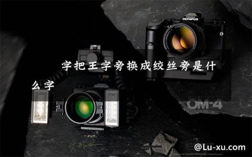 谨换成王字旁读什么