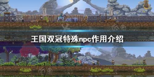 王国两位君主怎么招募骑士