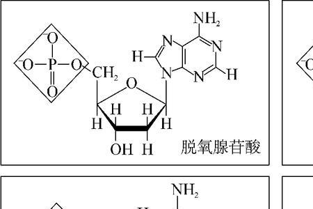 三碳糖磷酸结构式