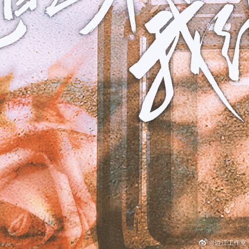 顾晨阳何念大结局