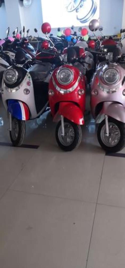 立马电动车48v切换60v