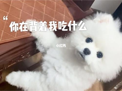 你吃我啊什么意思啊
