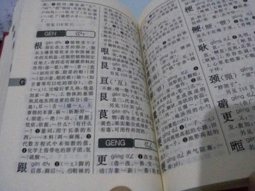 案字在新华字典的第几页