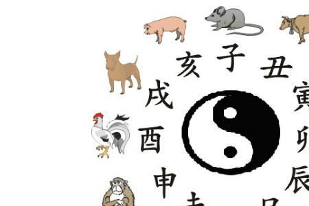17年的属相属什么生肖