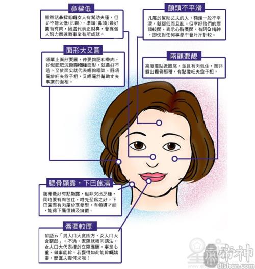 五官指哪五个部位
