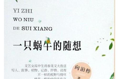 蜗牛语录感悟