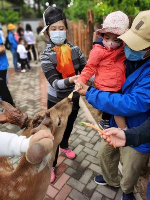 爷爷用什么动物表示