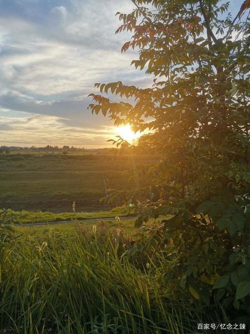 红红的太阳什么地照着大地