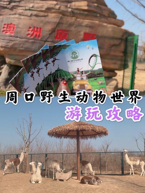 138国道动物出没地方有标志吗