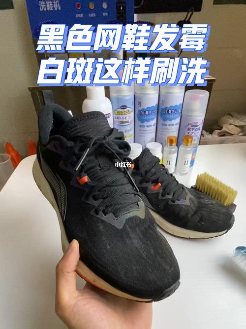 洗运动鞋的最好方法