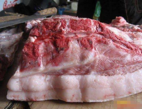 如何鉴别公猪肉母猪肉