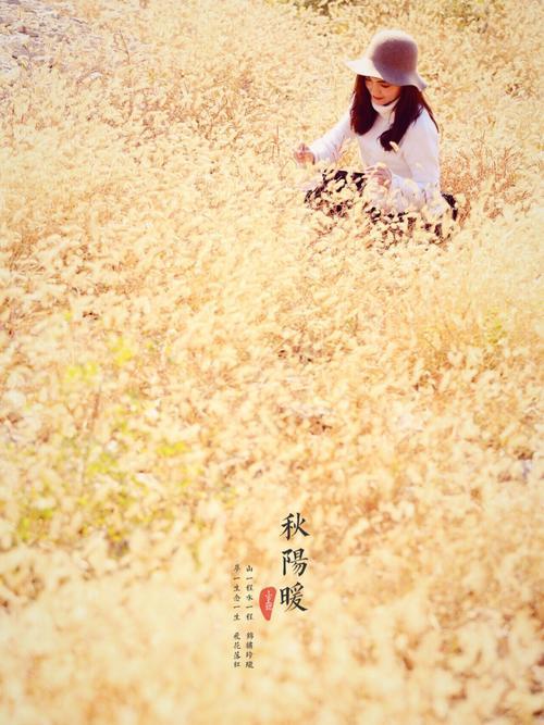 轻阳的意思是什么