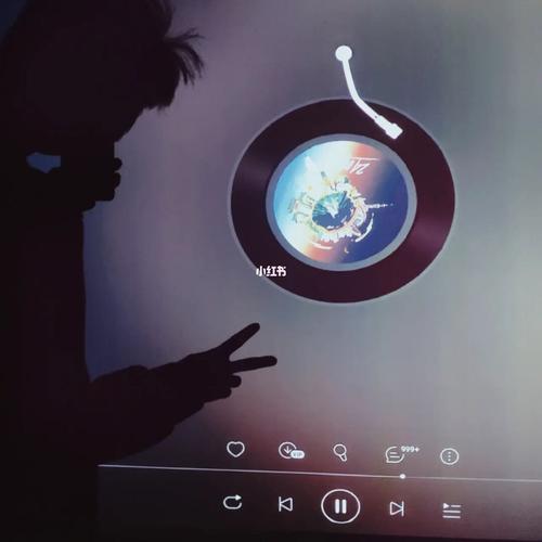 网易云音乐在投影仪上叫什么