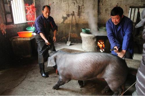 杀猪的家里供奉什么