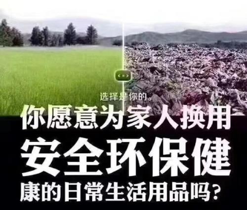 五棵树是什么牌子