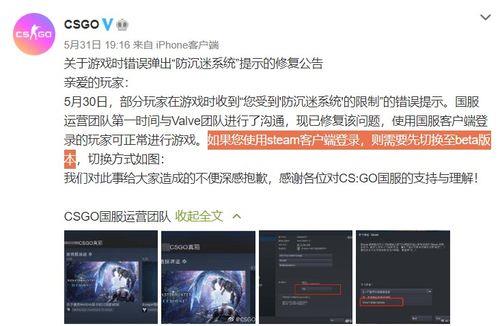 cs国服启动器什么意思