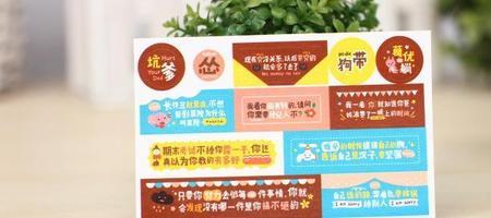 贴贴宝是什么意思