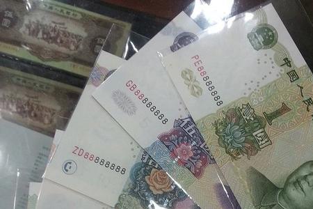 2005年是什么年