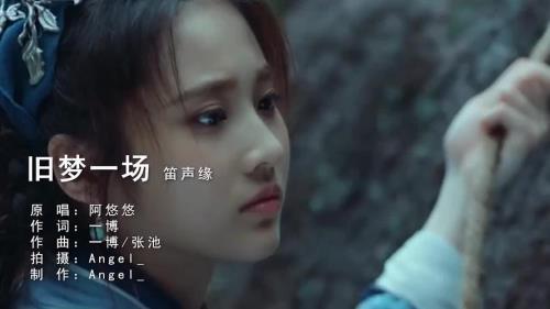 奈何只是惊鸿一场什么意思