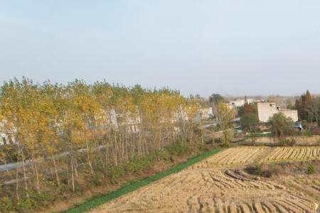 西气东输占地赔偿标准
