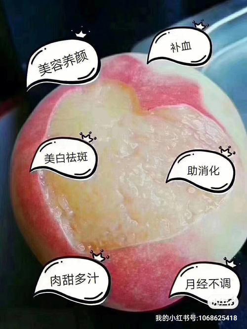 白凤桃上市时间表