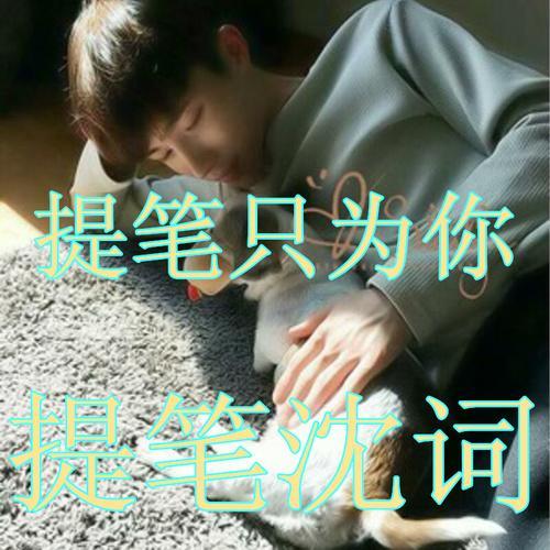 提笔为你写序什么意思
