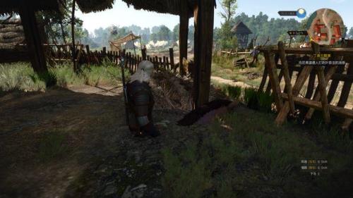 巫师三开局捡的道具