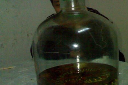 龟蛇酒是谁发明