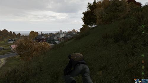 dayz能双人联机吗