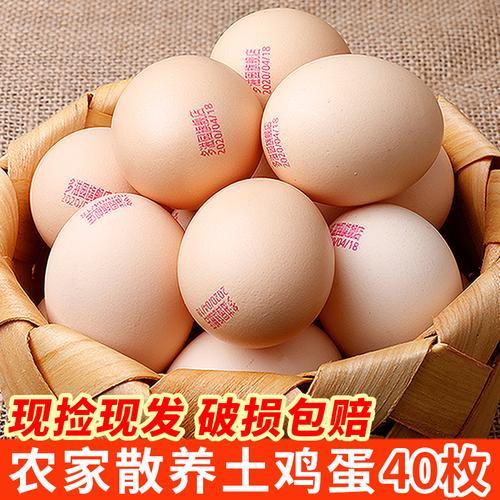 卖鲜鸡蛋挣钱吗