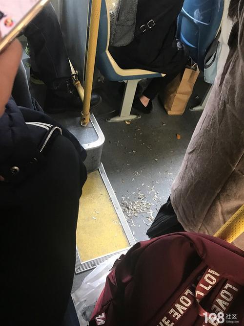 乘客在嗑瓜子乘务员怎么处理