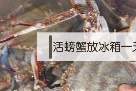 活螃蟹不放冰箱一夜还能活吗