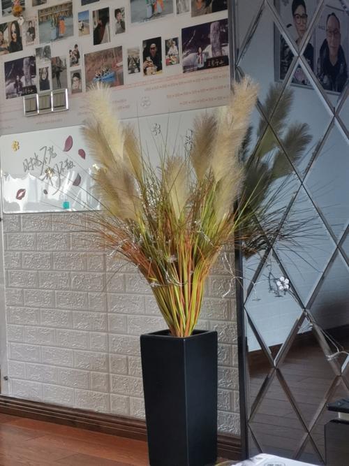 假芦苇花放客厅好不好