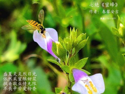 520两口子搞笑段子七绝诗