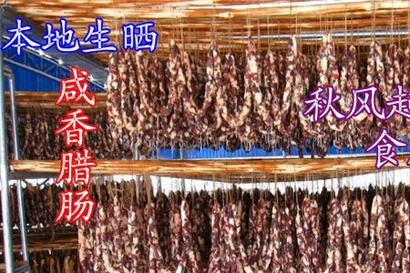 气温18度可以晒腊肠吗