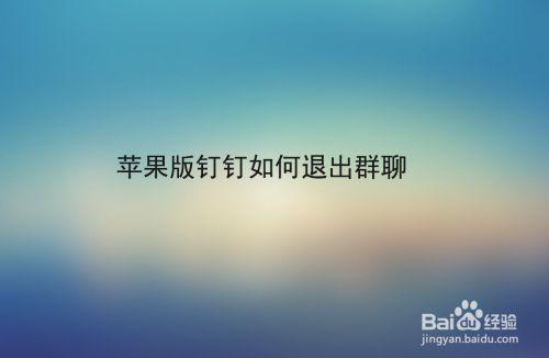 苹果钉钉怎么拍照显示位置