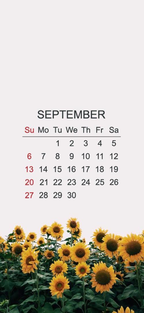 2019年9月到2022年9月是几个月