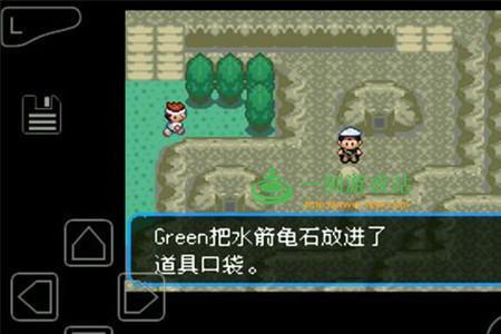 口袋妖怪叶绿火焰鸟配招