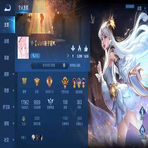 王者荣耀成品号啥意思