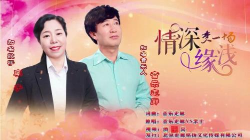 情深缘浅这首歌是什么意思