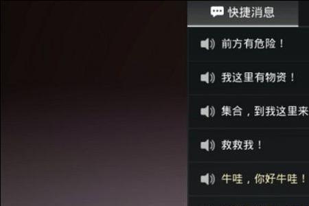 ipad进直播为什么不能发语音