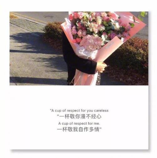 几情能相悦,一杯敬相逢什么意思