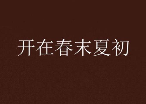 单身一夏又一夏的句子