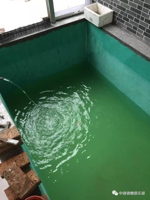 穿透王鲤透m9和鲤透2号哪个好