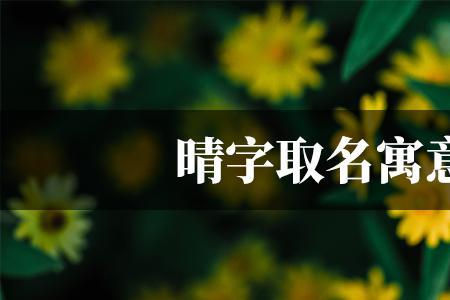 晴栀代表什么意思