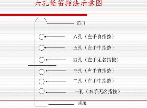竖笛低音1234567怎么吹