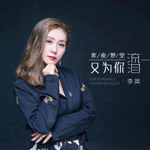 昨夜我又喝醉dj原唱