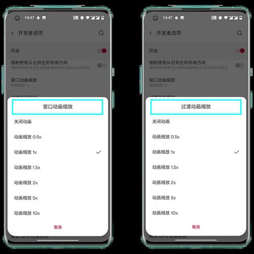 苹果如何调到开发者模式